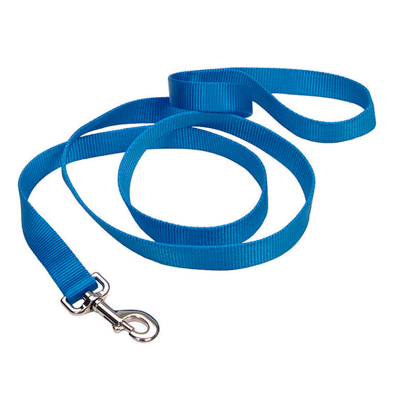 Single-Ply Nylon Leash Blue Lagoon
