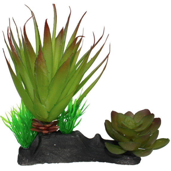 Desert Succulent Reptile Terrarium Decoration Green