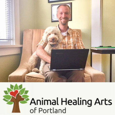 Ask the Expert: Animal Healing Arts