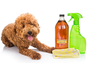 DIY Pet-Safe Cleaners