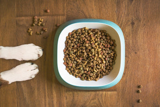 How Pet Food is Made