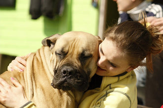 Our Heroes:  Blood Donor Animals