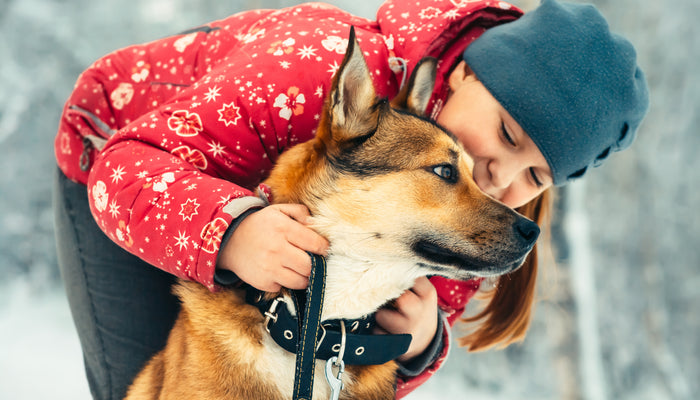 Dog Outside during Winter with Female Owner