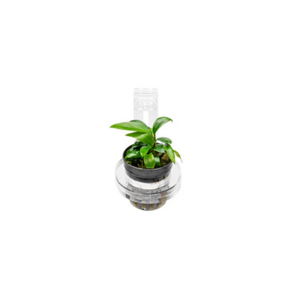 UNS Hydro Pot Holder