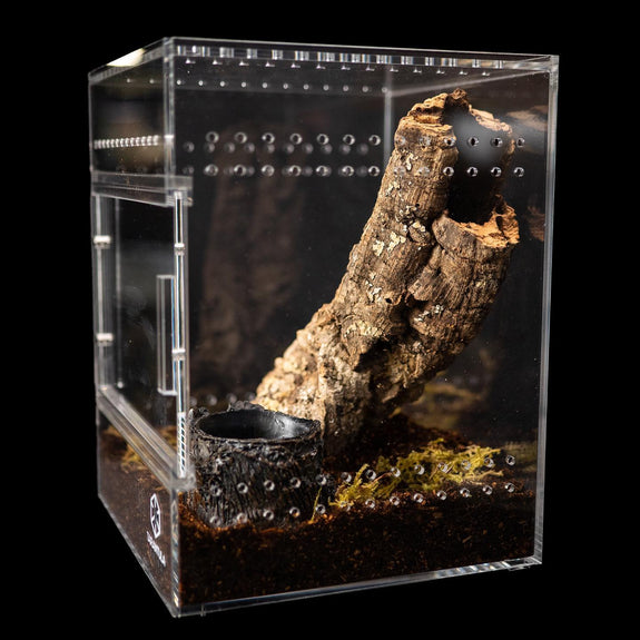 Treehouse Premium Acrylic Tarantula Enclosure Clear