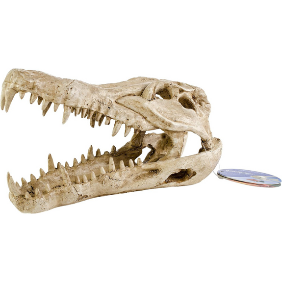 Crocodile Skull Decor for Reptile Terrariums