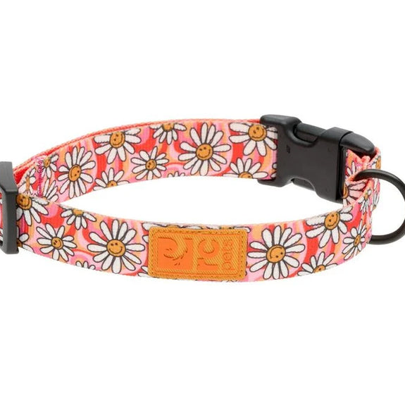Eco Fit Dog Collar, Daisy Joy