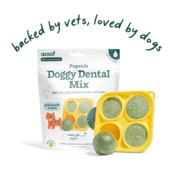 Pupsicle Refill Mix Long Lasting Dog Treat Doggy Dental Recipe