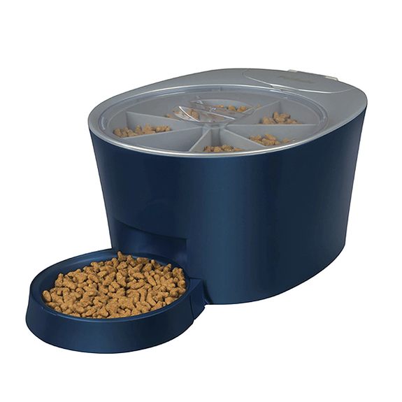 Six Meal Portion Control Automatic Feeder for Small Dogs & Cats Blue