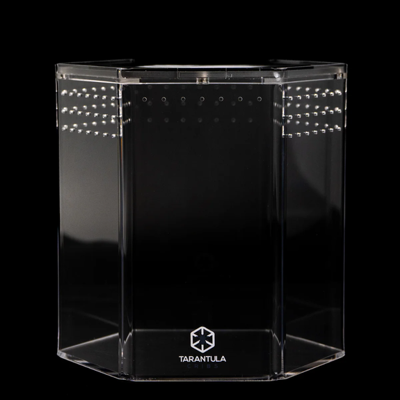 8" Hexagon Crib Acrylic Invertebrate Enclosure Clear