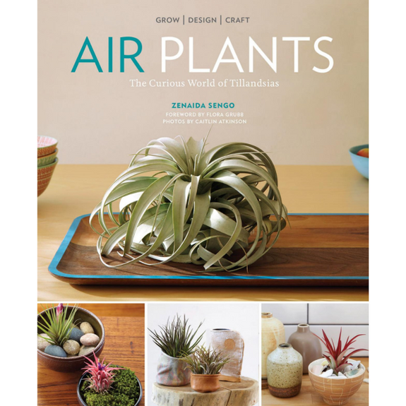 Air Plants: The Curious World of Tillandsias Zenaida Sengo Softcover Book