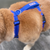 Monterey Bay Dog Chesapeake Harness Blue