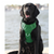 Monterey Bay Dog Chesapeake Harness Forest Green