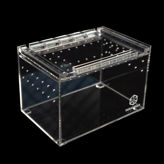 Cuboid Clear Small Acrylic Invertebrate Enclosure Clear