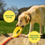Natural Rubber Flyer Yellow Dog Fetch Toy