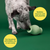 Natural Rubber Treat Dispenser Green Dog Toy