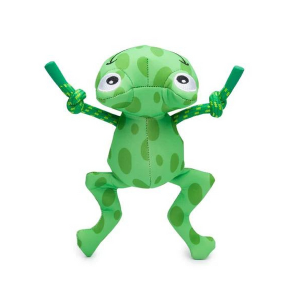 Frog Floatie Squeaky Waterproof Floating Dog Toy