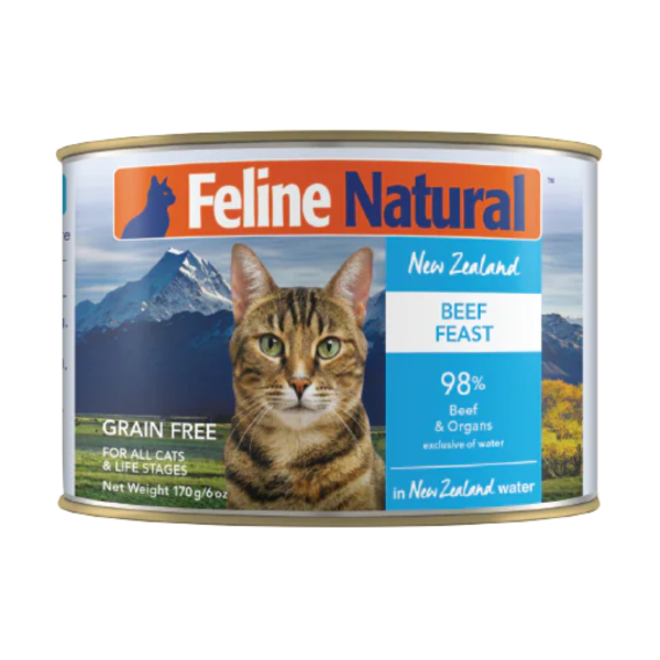 Beef Feast Grain-Free Wet Canned Cat Food