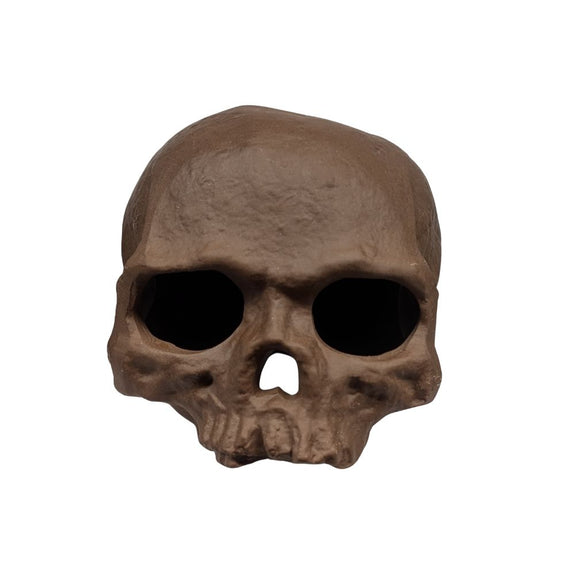 Human Skull Aquarium Decor and Hideout