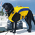 Monterey Bay Dog Life Jacket Yellow