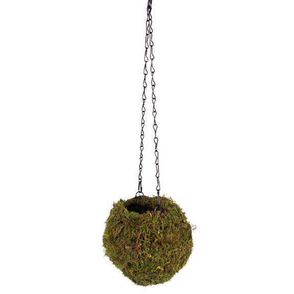 Mossy Cave Natural Hanging Reptile Hide for Reptiles