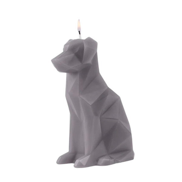 Voffi Dog Skeleton Art Reveal Unscented Candle Sculpture Grey