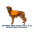 Approach Pack Full Day Hiking Dog Backpack Orange