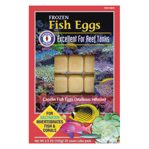 Capelin Fish Eggs Frozen Cubes Aquarium Fish Food & Treat