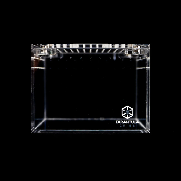 Cuboid Mini Acrylic Invertebrate Enclosure Clear