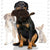 Mighty Nature Series Beaver Durable Squeaky Plush Dog Toy