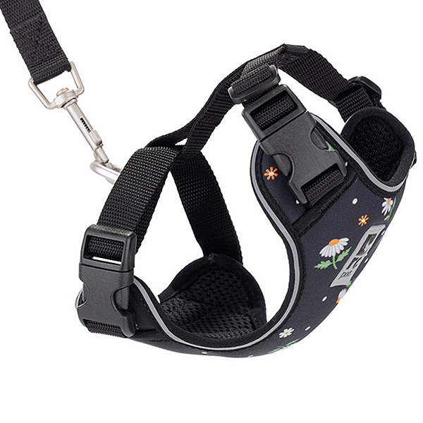 Adventure Kitty Harness & Leash Combo for Cats Black Daisies
