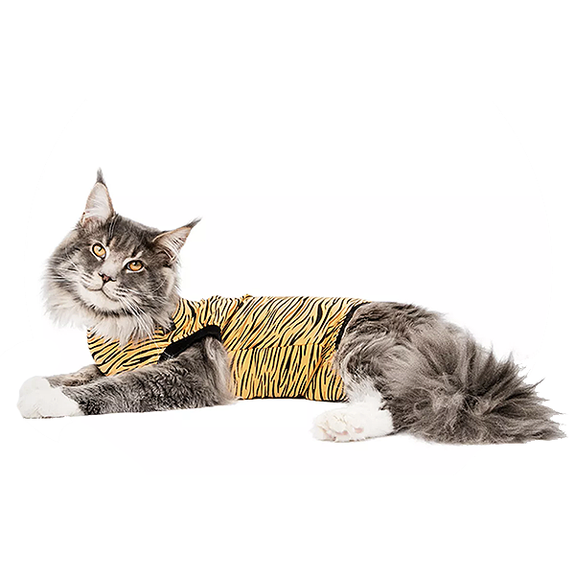 Wearable Full Body Recovery Suit for Cats Orange Tiger