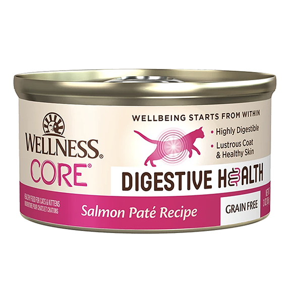 CORE Digestive Health Salmon Pate Recipe Grain-Free Wet Canned Cat Food