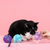 Time To Unwind Cat Crinkle Ball Toy