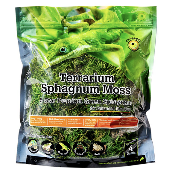 Sphagnum Moss Green Humidity & Decorative Clumps for Tropical & Forest Terrariums