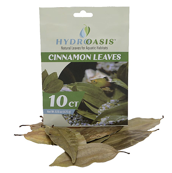 HydrOasis Cinnamon Leaves Natural Aquatic, Reptile & Bioactive Decoration
