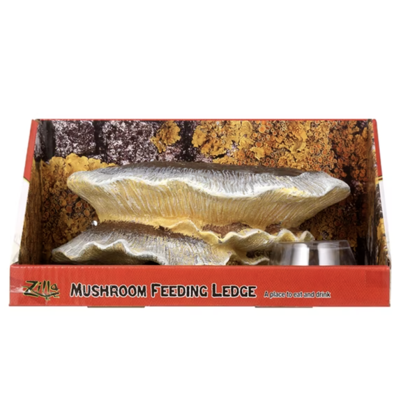 Vertical Mushroom Feeding Ledge Reptile Habitat Addition