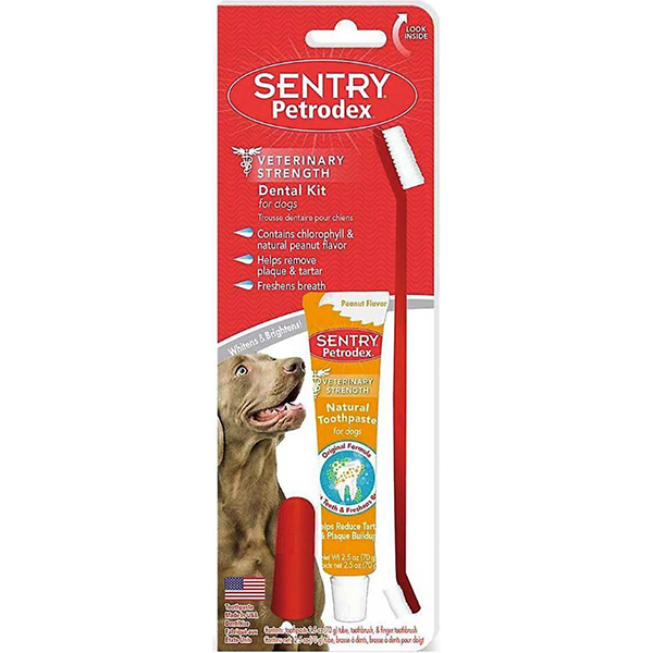 Petrodex Dental Kit Natural Peanut Flavor Toothpaste & Toothbrush for Dogs