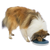 Slow Feed Rocking Bowl Rubber Anti Slip Adjustable Dish for Dogs Blue