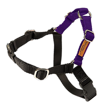 Wonder Walker No-Pull Body Halter Dog Harness Purple