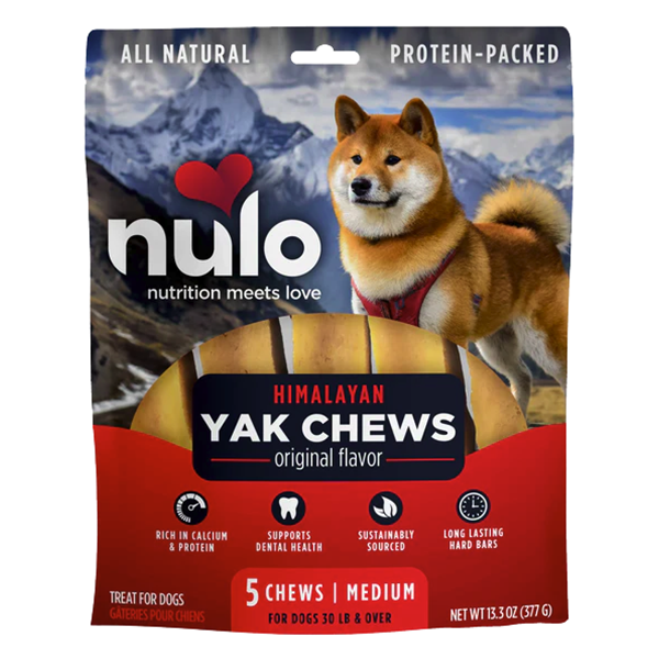 Hard dog chews best sale