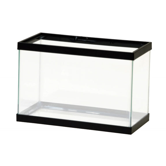 Standard Glass Rectangle Aquarium Tank for Fish, Small Mammals, Reptiles, and Amphibians