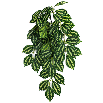 Komodo Hanging Plant Decor: 20% Off