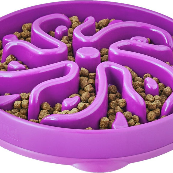 Outward Hound Dog Games Slo Bowl Slow Feeders Flower Design Dog Bowl