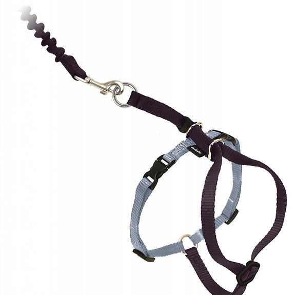 PetSafe Come with Me Kitty Black & Silver Harness and Bungee Leash for Cats