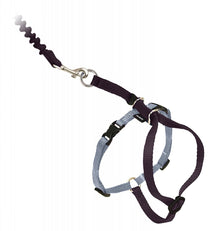 Come with Me Kitty Black & Silver Harness and Bungee Leash for Cats