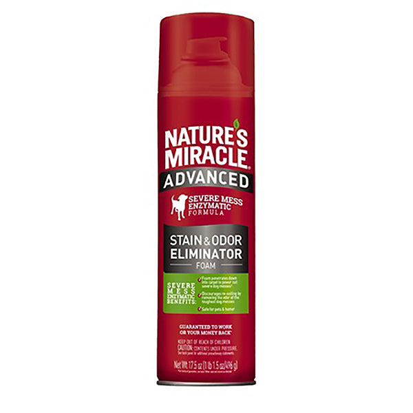 Advanced Stain & Odor Eliminator Foam Cleaning Solution