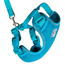 Adventure Kitty Harness & Leash Combo for Cats Teal