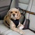 Auto Zip Line Dog Leash Connection for Car Travel