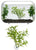 Betta Plant Realistic Artificial Maple Leaf With Suction Cup Aquarium Decor